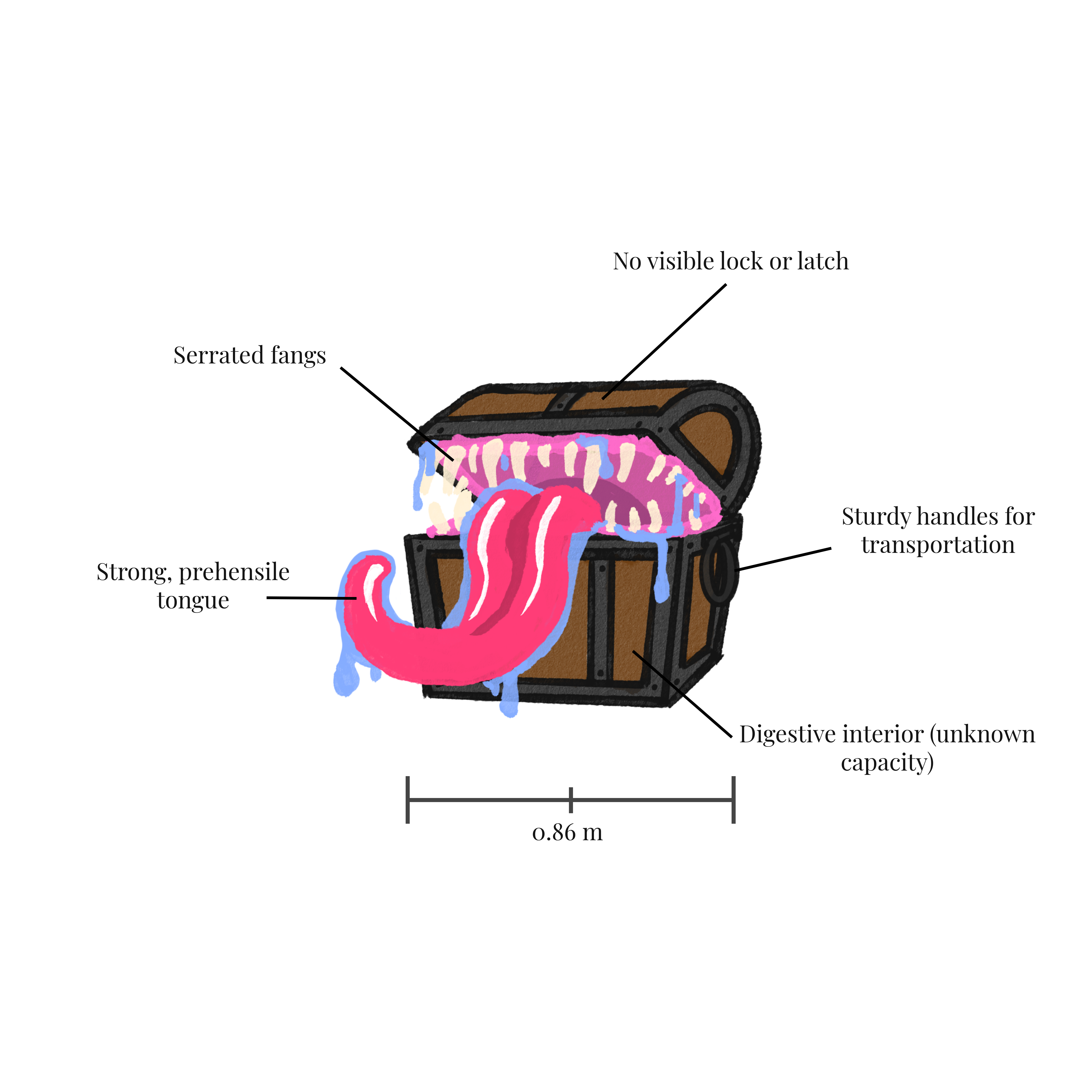 Exploded diagram of a mimic chest monster, annotated with labels.